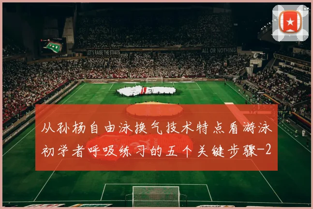 从孙杨自由泳换气技术特点看游泳初学者呼吸练习的五个关键步骤