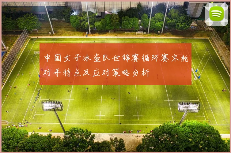 中国女子冰壶队世锦赛循环赛末轮对手特点及应对策略分析