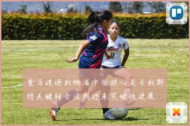 皇马追逐利物浦中场核心麦卡利斯特关键转会谈判迎来突破性进展